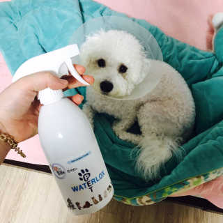 이이이잉ㅇ님이 올린 리뷰 사진 1