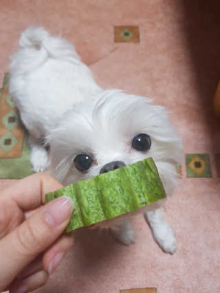김고양이님이 올린 리뷰 사진 1
