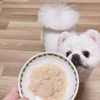 [펫토리아] 토로토로 하치  강아지 파우치간식 — 5점을 준 리뷰어가 2019년 6월 올린 사용 사진