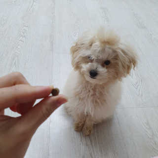 냥아치들님이 올린 리뷰 사진 3