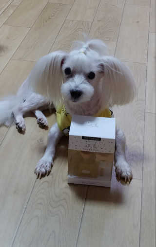 비커잠해피님이 올린 리뷰 사진 1