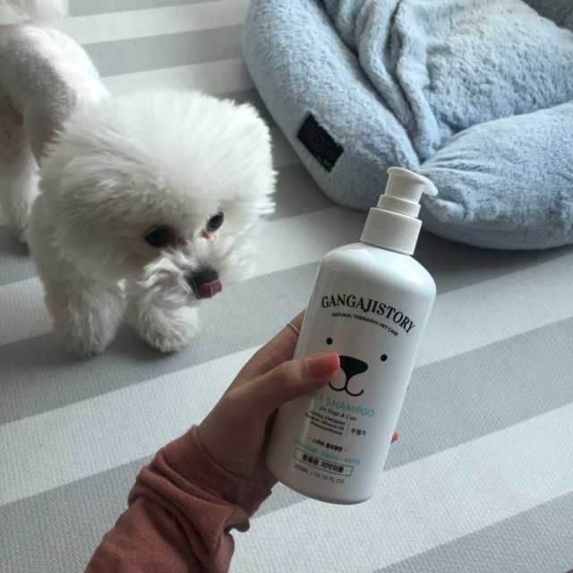 강아지스토리 펫샴푸 300ml 리뷰 사진