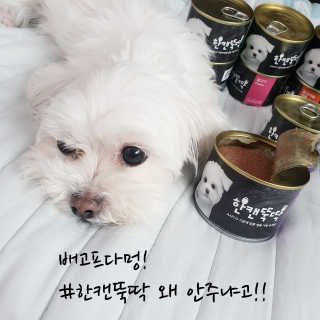 상선언니님이 올린 리뷰 사진 1