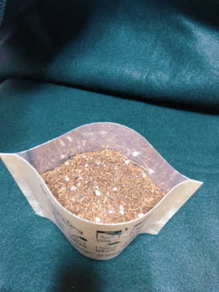 찌니님이 올린 리뷰 사진 4