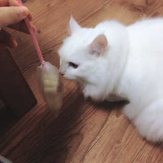 김수연님이 올린 리뷰 사진 3