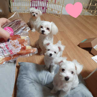 숮이님이 올린 리뷰 사진 1