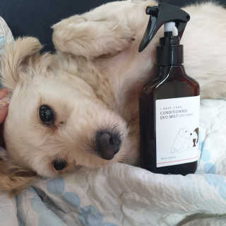 엣헴님이 올린 리뷰 사진 2