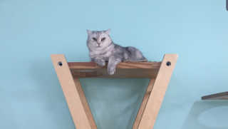 테태테님이 올린 리뷰 사진 2