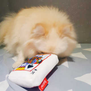 김하늘님이 올린 리뷰 사진 2
