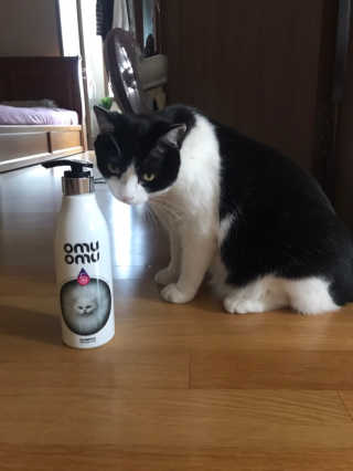 cola님이 올린 리뷰 사진 3