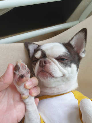 mini unni님이 올린 리뷰 사진 3