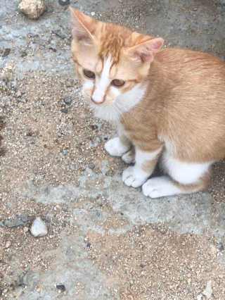 만쟈님님이 올린 리뷰 사진 3