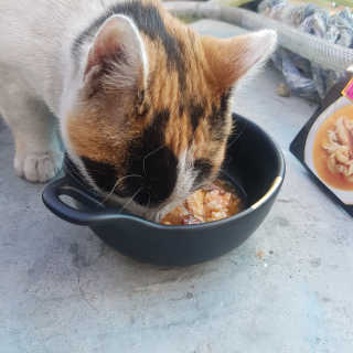 sggggg님이 올린 리뷰 사진 3