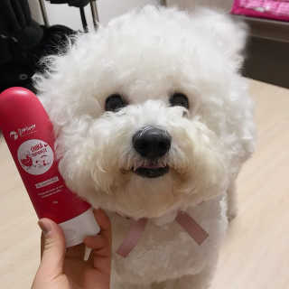 초코님이 올린 리뷰 사진 3