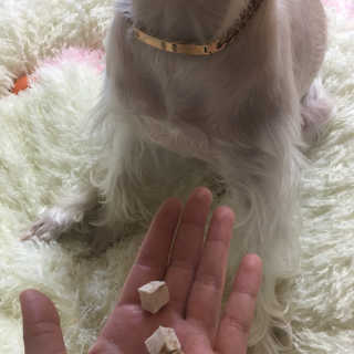 솔이님이 올린 리뷰 사진 1