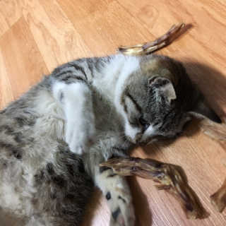 쏭블리님이 올린 리뷰 사진 1