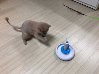 SolheeNamgoong님이 올린 리뷰 사진 2