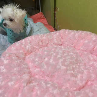 unmeour님이 올린 리뷰 사진 1