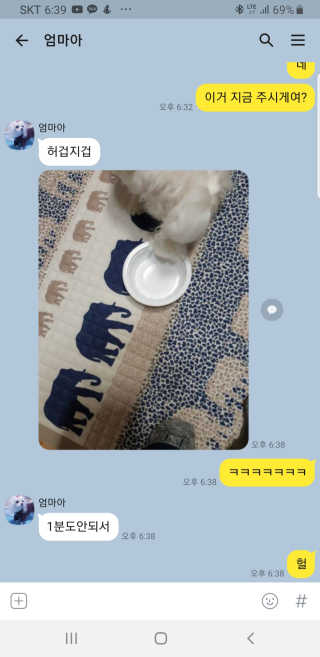 두부님이 올린 리뷰 사진 1