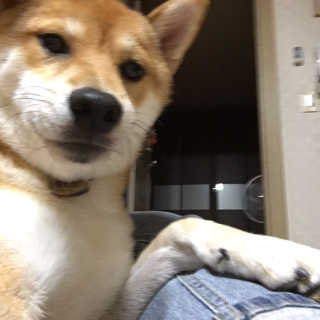 yul님이 올린 리뷰 사진 2