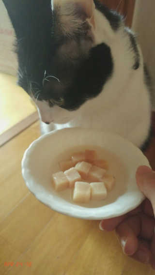 rang.yeoni님이 올린 리뷰 사진 1