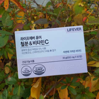 시아님이 올린 리뷰 사진 1