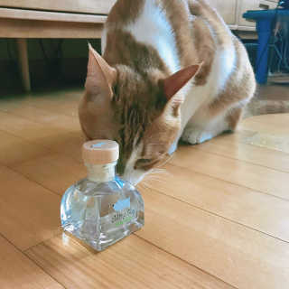 오!마이실리 오마이실리 반려동물 디퓨저 — 5점을 준 리뷰어가 2018년 6월 올린 사용 사진