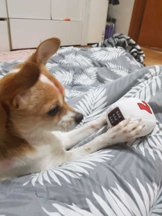 남초롱님이 올린 리뷰 사진 2