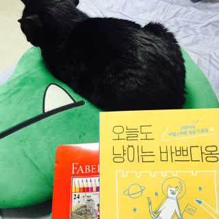 한비님이 올린 리뷰 사진 1