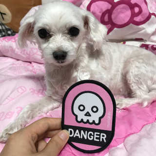 지원공주님이 올린 리뷰 사진 3