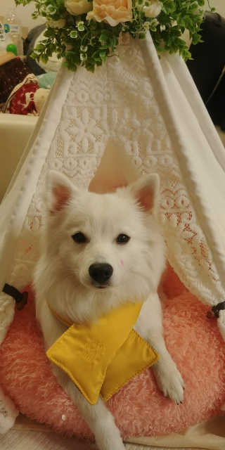 EunJeongKong님이 올린 리뷰 사진 4