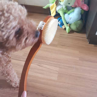 유채린님이 올린 리뷰 사진 2