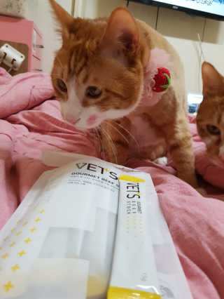 이용재님이 올린 리뷰 사진 3
