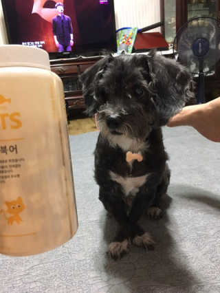 이소은님이 올린 리뷰 사진 1