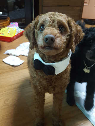 미현짱님이 올린 리뷰 사진 1