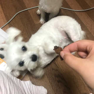 민수님이 올린 리뷰 사진 2