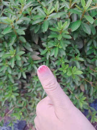 승미쨩님이 올린 리뷰 사진 2