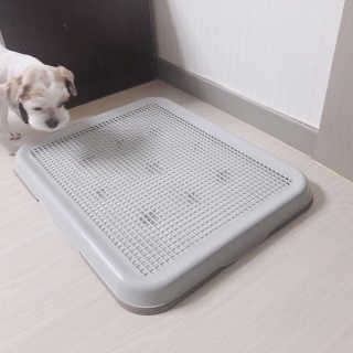 이슬비님이 올린 리뷰 사진 1