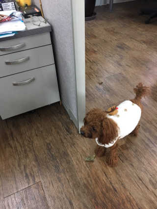 JaHyongChoi님이 올린 리뷰 사진 3