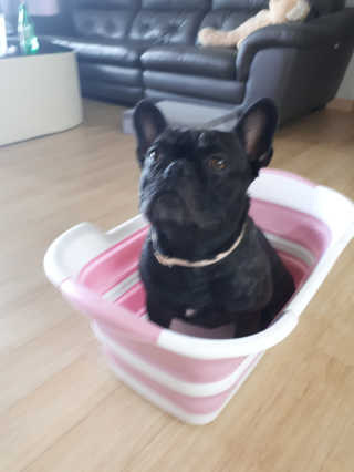 토르맘님이 올린 리뷰 사진 2