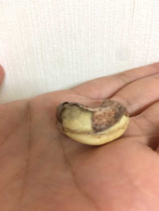 꼬봉❤️님이 올린 리뷰 사진 3