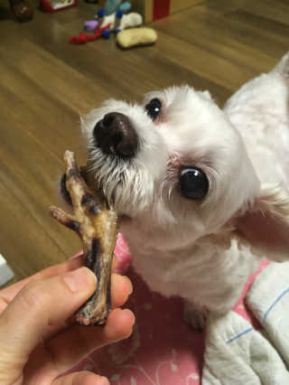 쮸동비님이 올린 리뷰 사진 1