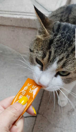 발라당님이 올린 리뷰 사진 3