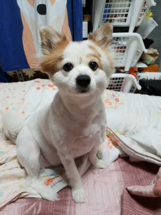 EunsolKim님이 올린 리뷰 사진 1