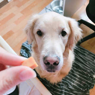 wooriYul님이 올린 리뷰 사진 4