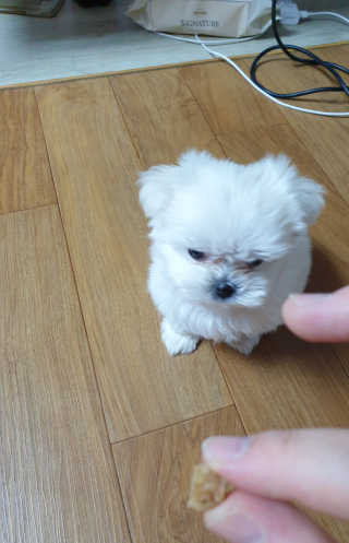 복수니님이 올린 리뷰 사진 3