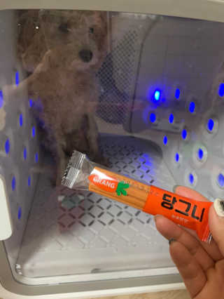 leah님이 올린 리뷰 사진 1