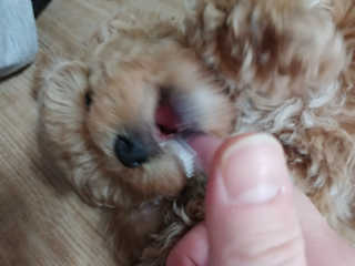 하은영님이 올린 리뷰 사진 4