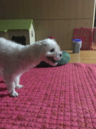 홍시님이 올린 리뷰 사진 4