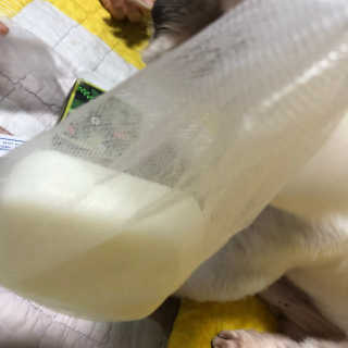 소소한님이 올린 리뷰 사진 2